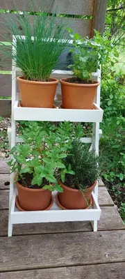 Ein Garten an der Unterkunft s`Hauserl 311 - Your Austrian Home