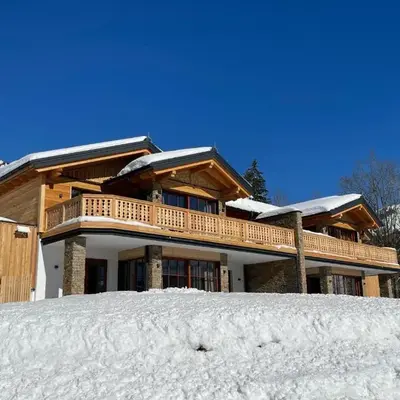 Dachstein Chalet
