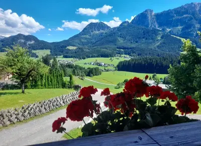 Ein allgemeiner Bergblick oder ein Berglick von des Bauernhofs aus