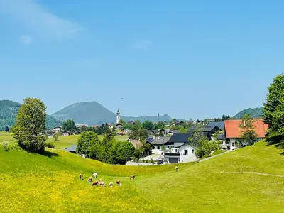 Naturlandschaft in der Nähe der Ferienwohnung