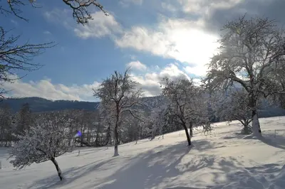 Biohof Auinger, der Tiererlebnishof im Winter