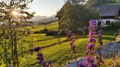 Naturlandschaft in der Nähe des Ferienhauses