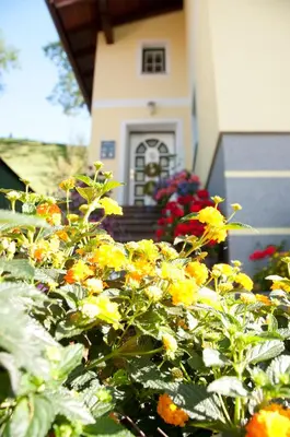 Ein Garten an der Unterkunft Haus Fritzenwallner Appartement 1