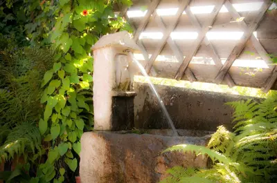 Ein Garten an der Unterkunft Haus Fritzenwallner Appartement 1