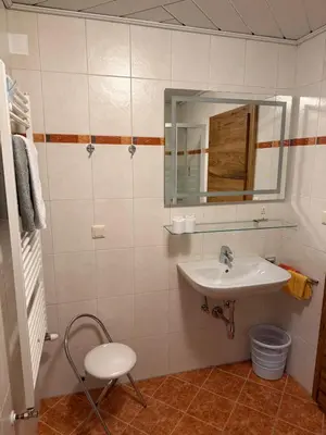 Ein Badezimmer in der Unterkunft Ebster Wolfgang