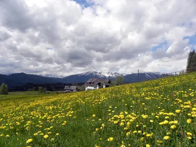 Naturlandschaft in der Nähe der Ferienwohnung