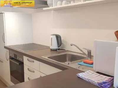 Küche/Küchenzeile in der Unterkunft Studio in Bad Mitterndorf - Steiermark 41119