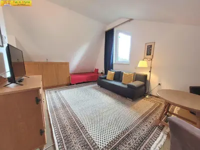 TV/Unterhaltungsangebot in der Unterkunft Holiday home in Bad Mitterndorf - Steiermark 41120
