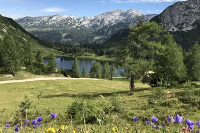 Naturlandschaft in der Nähe der Ferienwohnung
