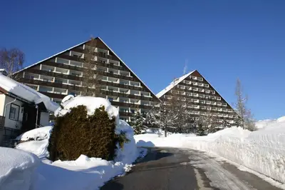 Apartment in Bad Mitterndorf - Steiermark 36993 im Winter