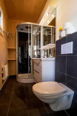 Ein Badezimmer in der Unterkunft Chalet Murau: Luxurious 5 star chalet in ski area Kreischberg