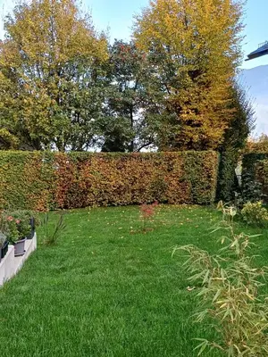 Ein Garten an der Unterkunft Ferienwohnung Claudia mit Terrasse