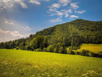 Naturlandschaft in der Nähe der Ferienwohnung