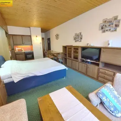 Studio in Bad Mitterndorf - Steiermark 37017