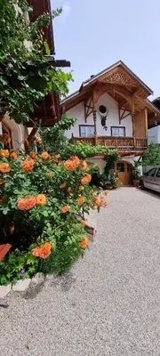 Ein Garten an der Unterkunft Villa Franz Xaver