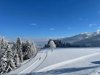 Burglehnerhof im Winter