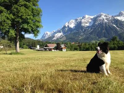 Naturlandschaft in der Nähe des Aparthotels